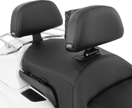 52-956 SHOW CHROME gl1800 backrest