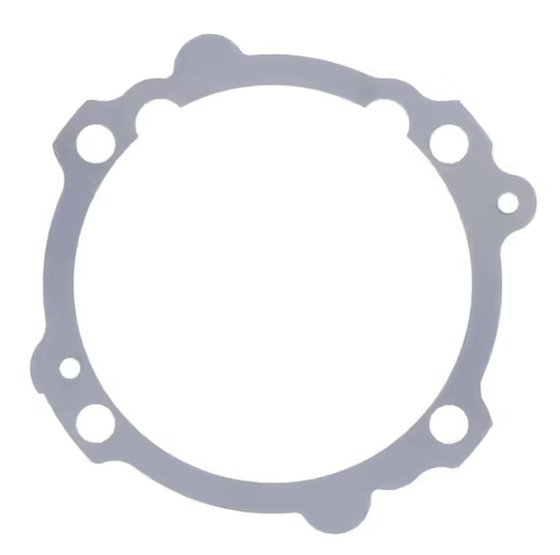 BTS-779.03.14 ATHENA cylinder base gasket 1033767