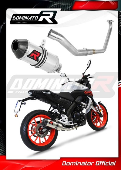 YA124DF-S Dominator exhaust full system silencer hp3