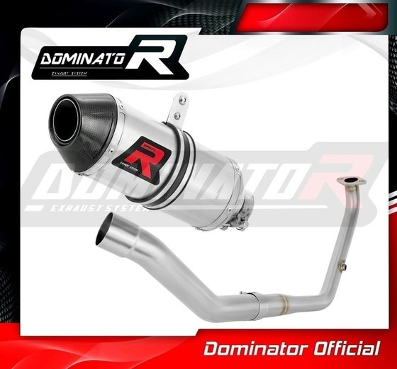 YA152DF-S Dominator full exhaust system silencer hp3