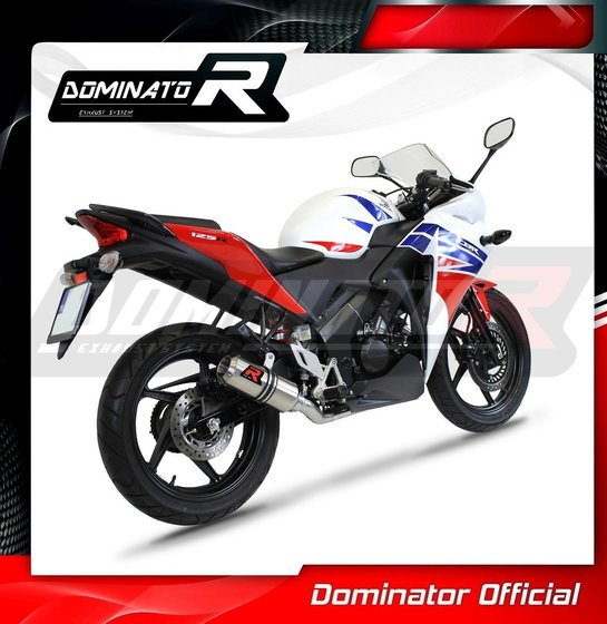 HO100DC-S Dominator exhaust full system silencer gp