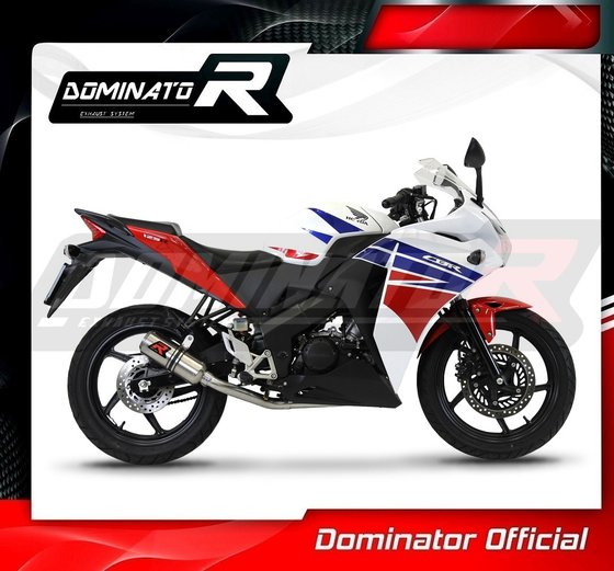 HO100DC-S Dominator exhaust full system silencer gp