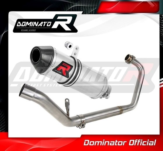 HO101DF-S Dominator exhaust full system silencer hp3