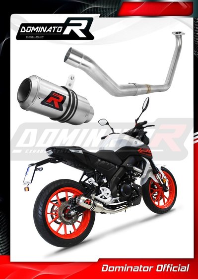 YA124DC-S Dominator exhaust full system silencer gp