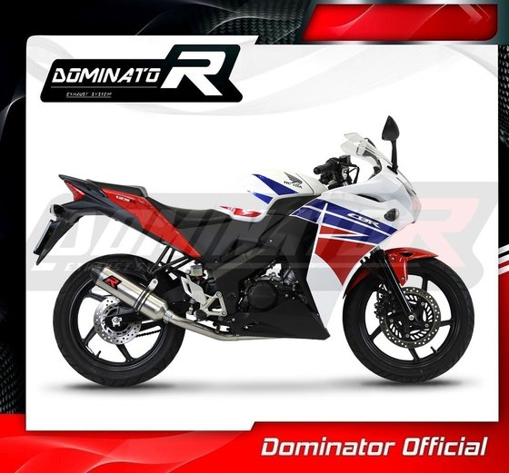 HO100DF-S Dominator exhaust full system silencer hp3