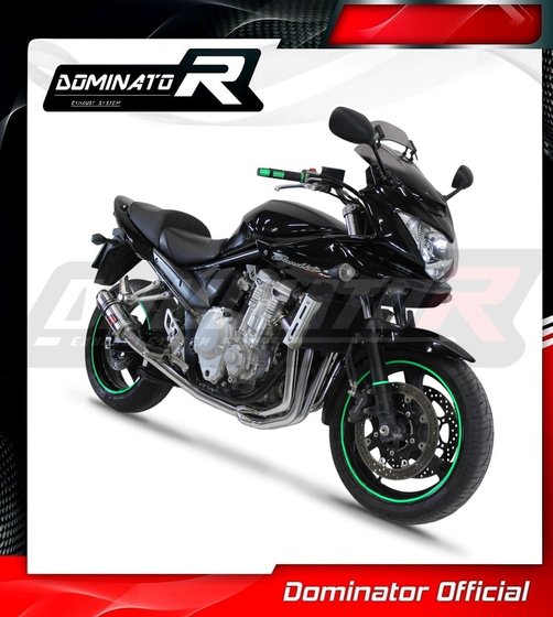 SU103DC-S Dominator full exhaust system silencer gp1