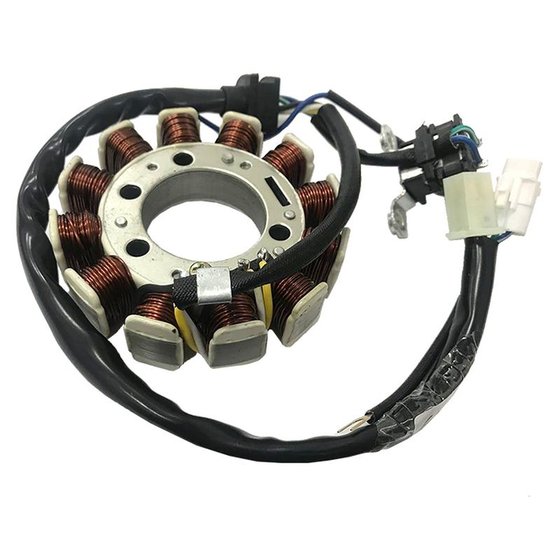 GM16019 GAUSS alternator stator winding