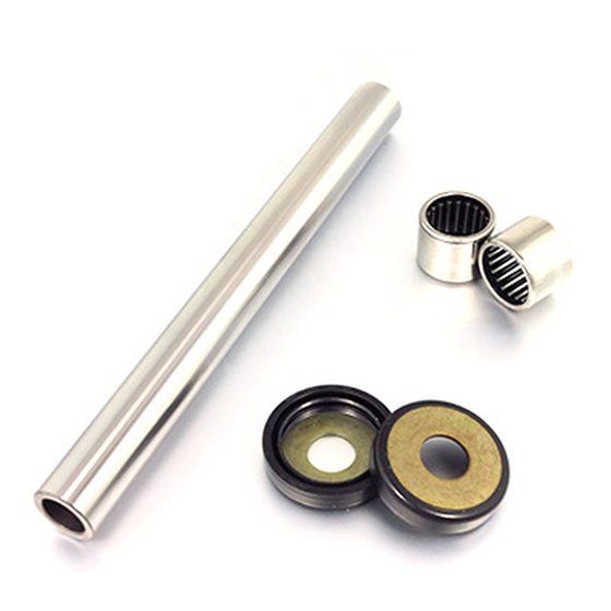 SAK30019 BEARING WORX swingarm bearing repair kit