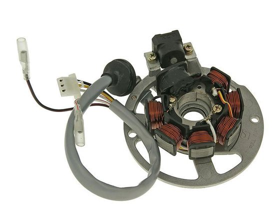 NK390.27 NARAKU alternator stator