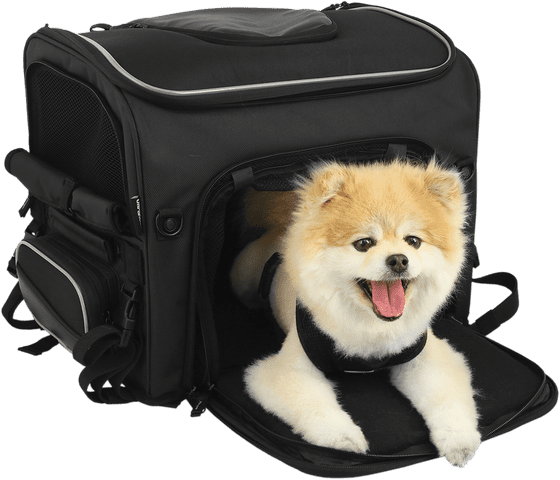 NELSON RIGG route 1 rover pet carrier