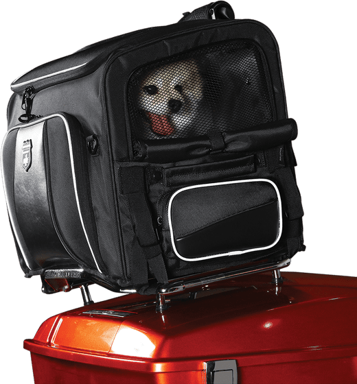 NELSON RIGG route 1 rover pet carrier