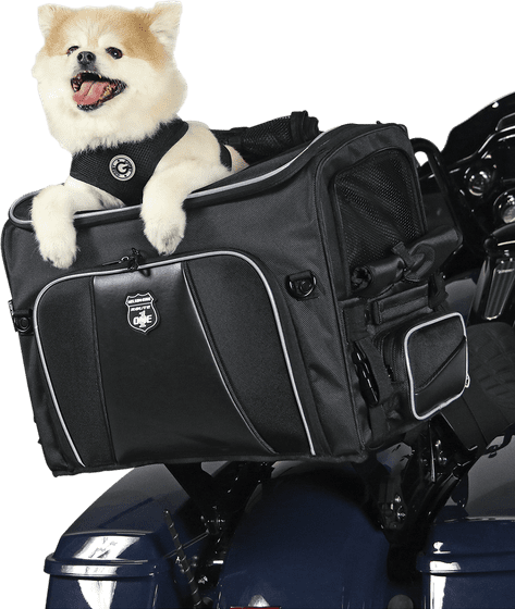 NELSON RIGG route 1 rover pet carrier