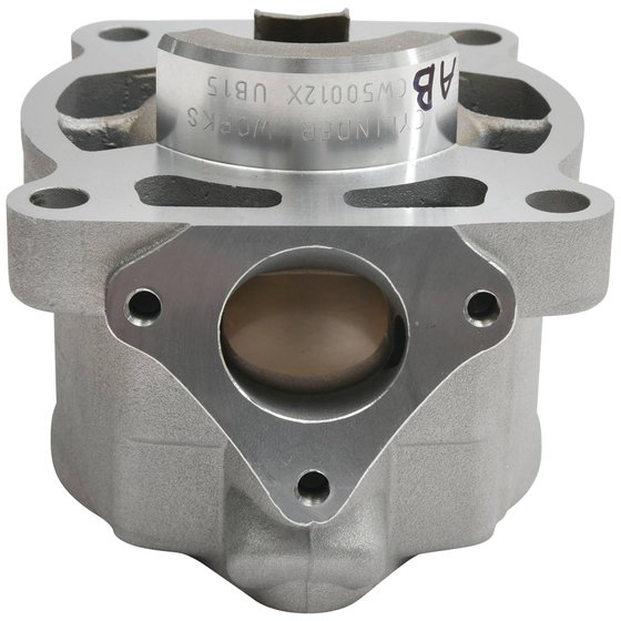 CW50012 Cylinder Works standard bore cylinder