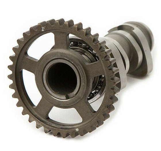 HC 2220-2IN Hot Cams camshaft