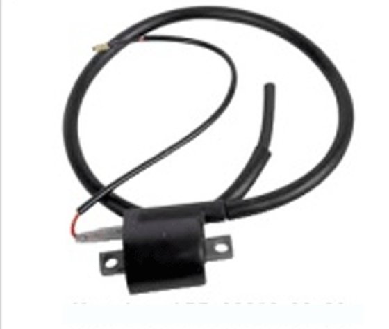 AT-01307 NACHMAN ignition coil