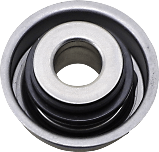 503005 Vertex mechanical water pump seal