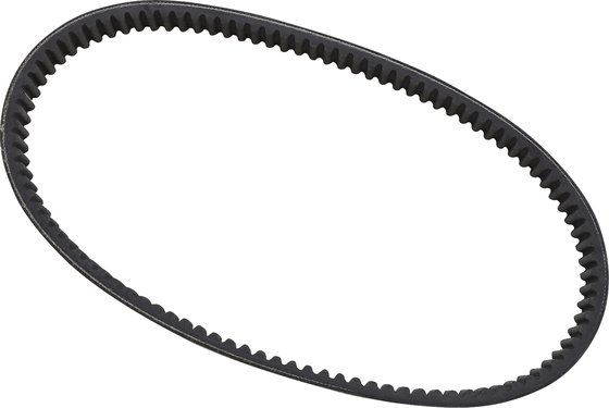 WE262003 EPI standard drive belt