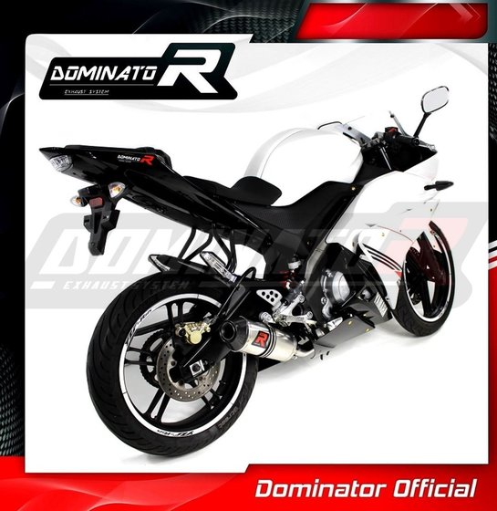 YA086DF-S Dominator exhaust full system silencer hp3