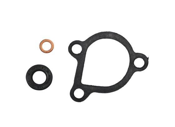 MX-10220 NACHMAN water pump repair kit