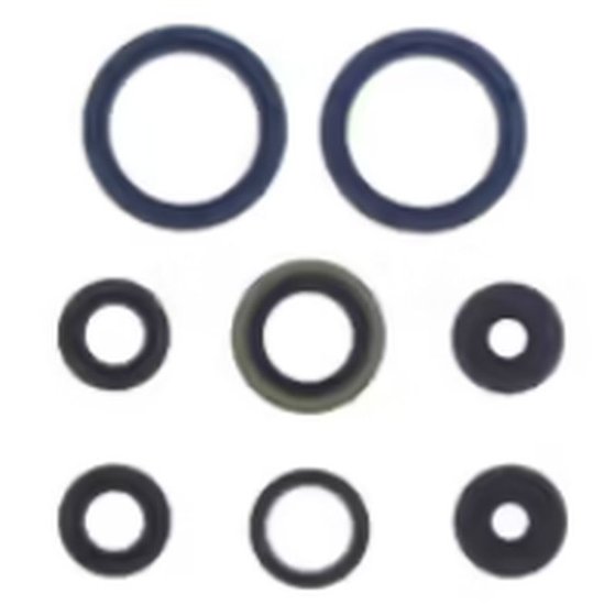 P400250400069 ATHENA gasket kit oil seal