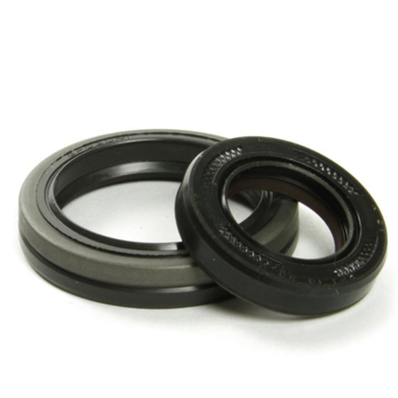 42.3109 ProX crankshaft seal set