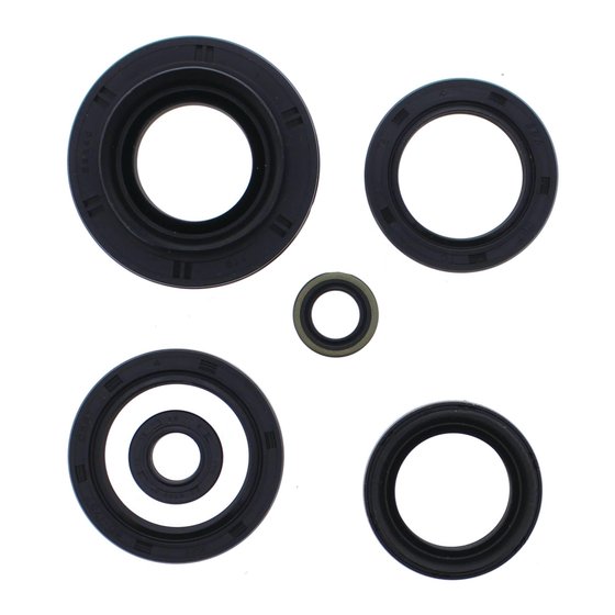 822881 Vertex engine oil seal kit