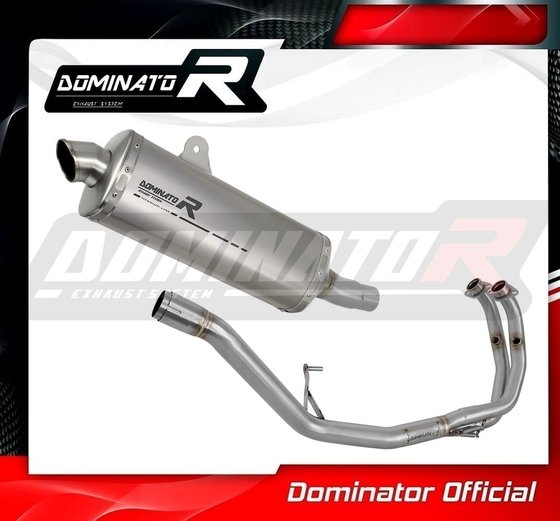 BE004DE-S Dominator full exhaust system silencer titanium p7