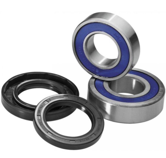 23.S116089 ProX rear wheel bearing set