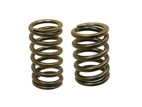 XU-09549S NACHMAN valve spring