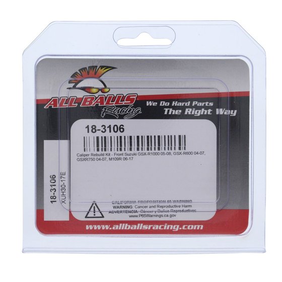 18-3106 All Balls caliper rebuild kit - front