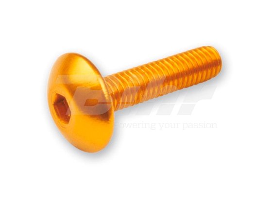 VICMA fairing screws