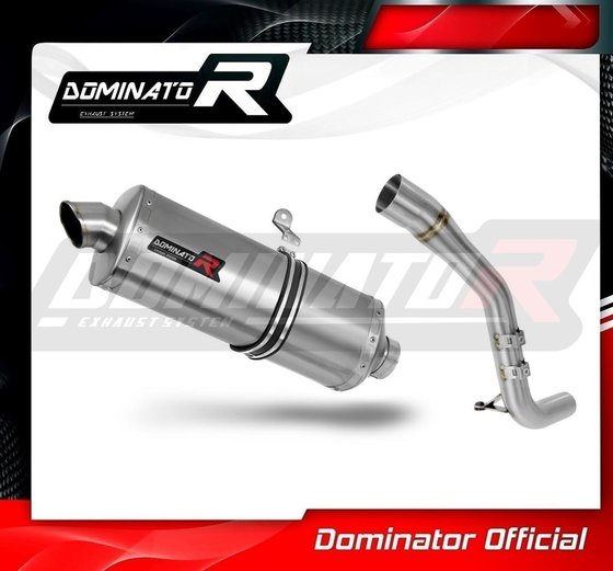 TR021DP7-S Dominator exhaust silencer p7