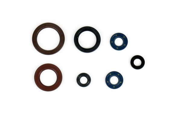 P400270400078 ATHENA oil seal set