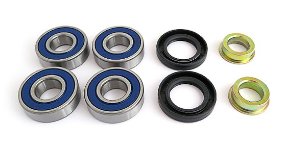 WE331052 EPI rebuild kit for rear independent suspension