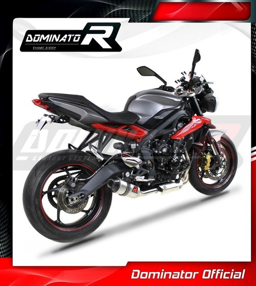 TR013DF-S Dominator exhaust silencer hp3