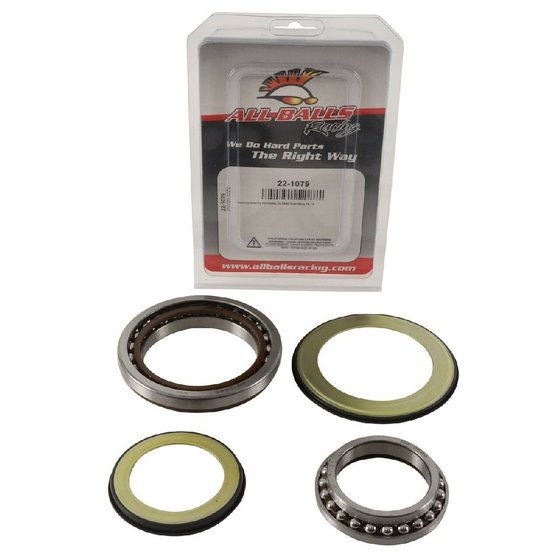 22-1079 All Balls steering bearing kit