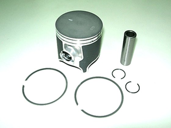 NX-30024 NAMURA piston