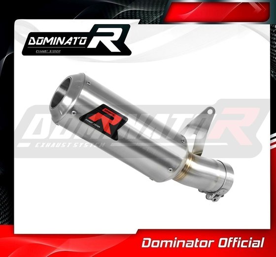 BW102DC-S Dominator exhaust silencer gp