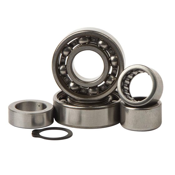 TBK0098 Hot Rods transmission bearing kit