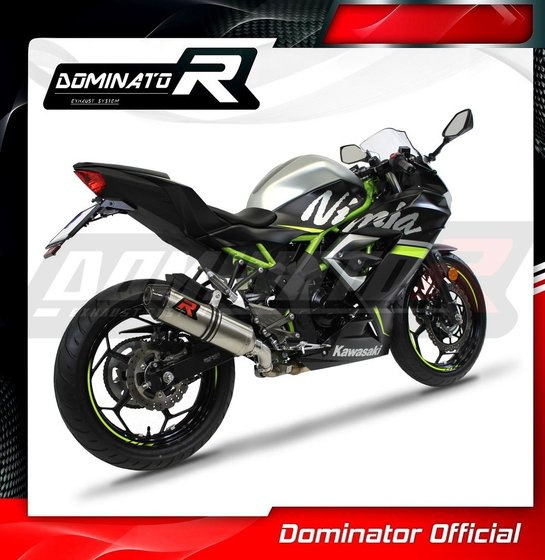 KA071DF-S Dominator exhaust silencer hp3