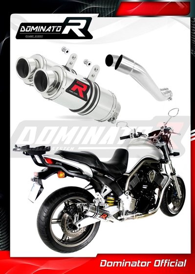 YA036DC-S Dominator exhaust silencer gp1