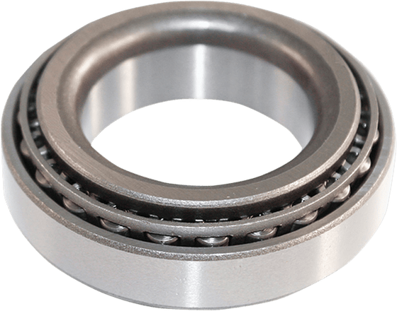 WE304517 EPI rear axle bearing