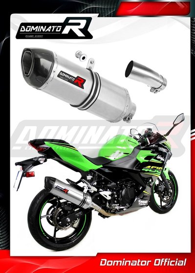 KA062DF-S Dominator exhaust silencer hp1