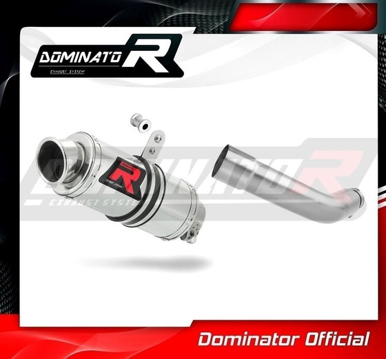 PG004DC-S Dominator exhaust silencer gp1