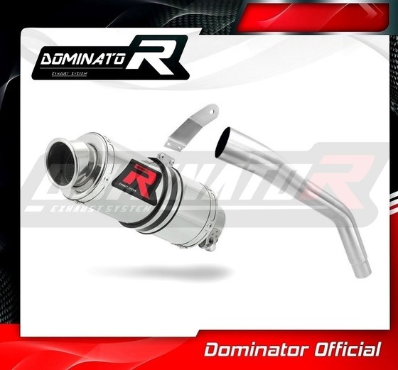 TR020DC-S Dominator exhaust silencer gp1