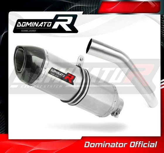 KA021DF-S Dominator exhaust silencer hp1