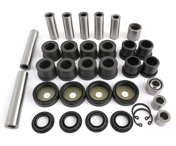 WE331043 EPI rebuild kit for rear independent suspension