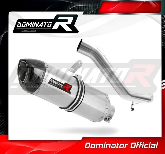 TR016DF-S Dominator exhaust silencer hp1