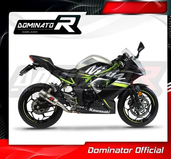 KA071DC-S Dominator exhaust silencer gp