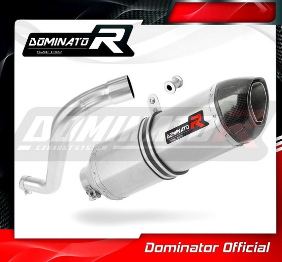 BW024DF-S Dominator exhaust silencer hp1